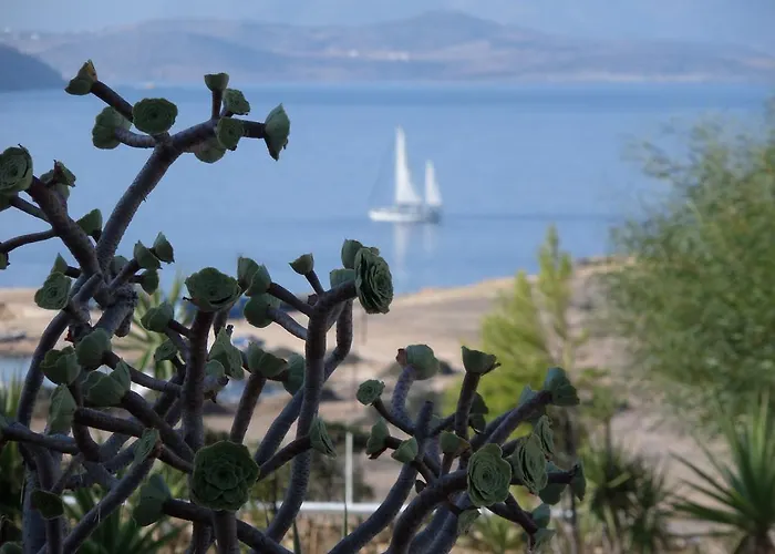 Iliovasilema Koufonisi Appartement